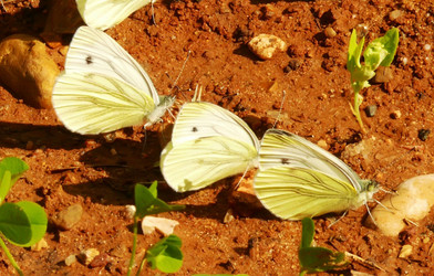 Similar image 243287