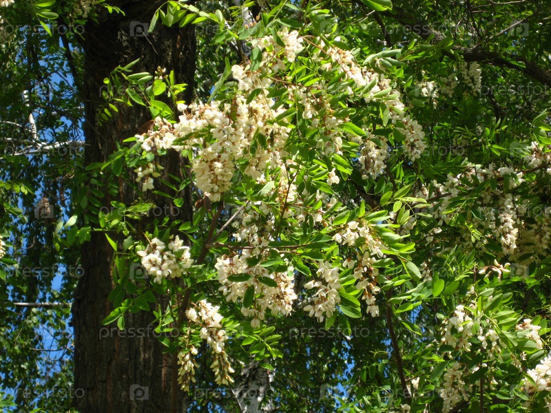Фоторамки онлайн, вставить фото Фоторамки онлайн, вставить фото