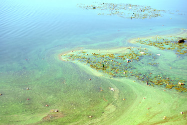 Similar image 243293