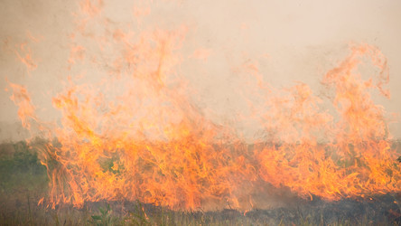 Similar image 243302