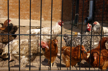 Similar image 243306