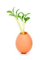 Similar image 243310