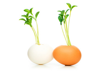 Similar image 243311