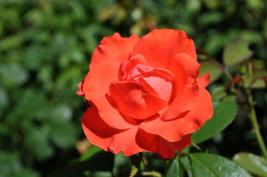 Similar image 243326