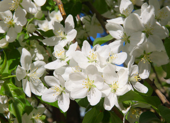 Similar image 243330