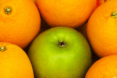 Similar image 243381