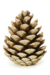 Similar image 243382