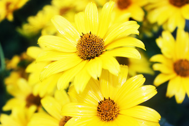 Similar image 243397