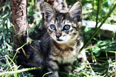 Similar image 243411