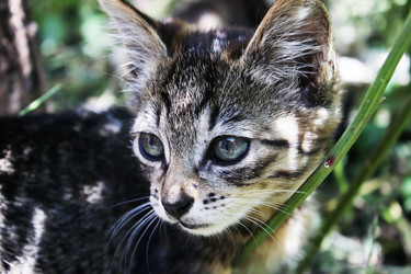 Similar image 243412