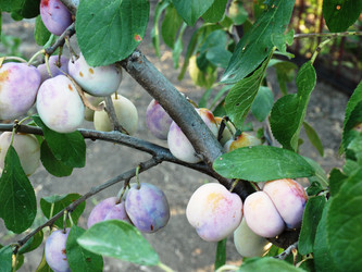 Similar image 243425