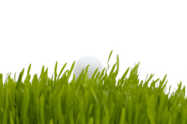 Similar image 243469