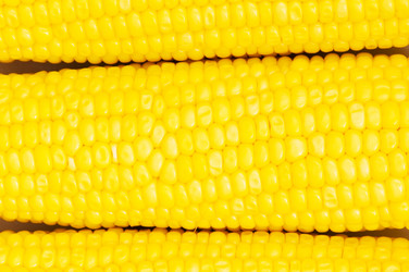 Similar image 243514