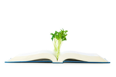 Similar image 243555