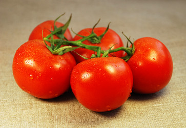 Similar image 243560