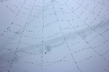 Similar image 243566