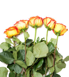 Similar image 243624