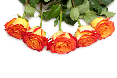 Similar image 243626