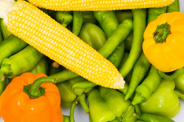 Similar image 243664