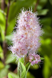 Similar image 243685