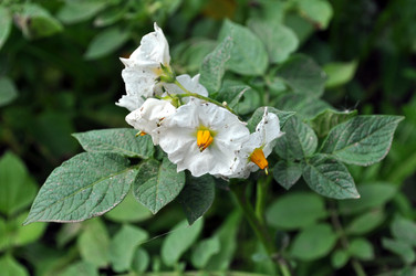 Similar image 243695