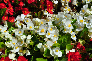 Similar image 243699