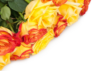 Similar image 243715