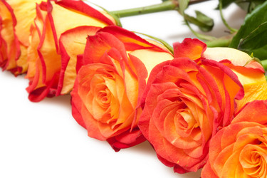 Similar image 243716