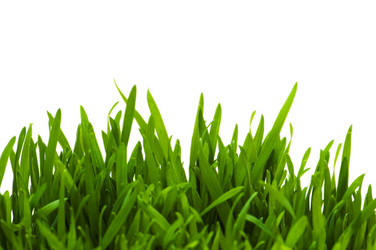 Similar image 243717