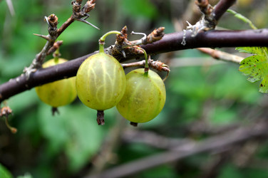 Similar image 243783