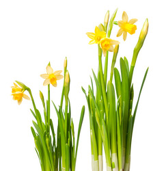 Similar image 243784