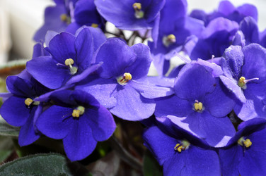 Similar image 243785