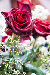 Similar image 243786