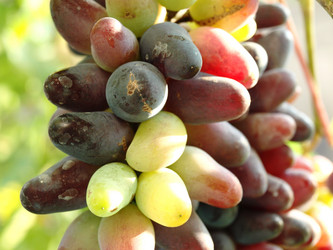 Similar image 243811