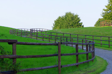 Similar image 243831