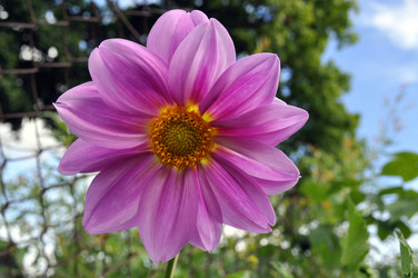 Similar image 243845