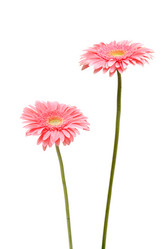 Similar image 243848