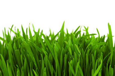 Similar image 243853