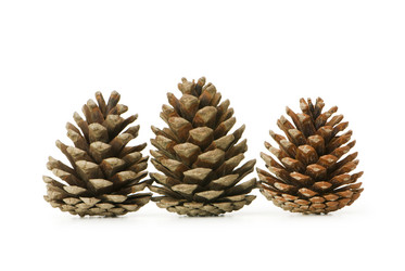 Similar image 243901