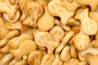 Similar image 243927