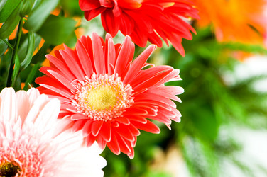 Similar image 243968