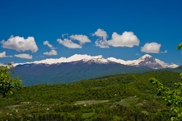 Similar image 243979