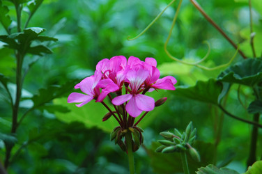 Similar image 243982