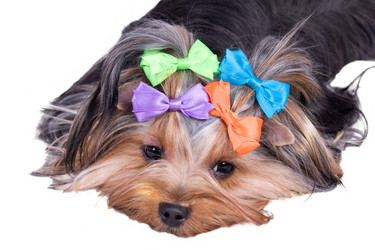 Similar image 244019