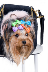 Similar image 244020