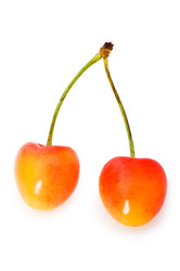 Similar image 244026