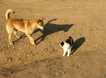 Similar image 244049