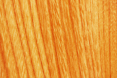 Similar image 244059