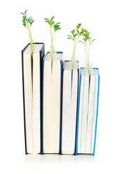 Similar image 244078