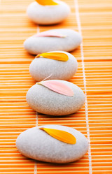 Similar image 244093